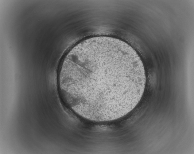 X0000111930534200908101144