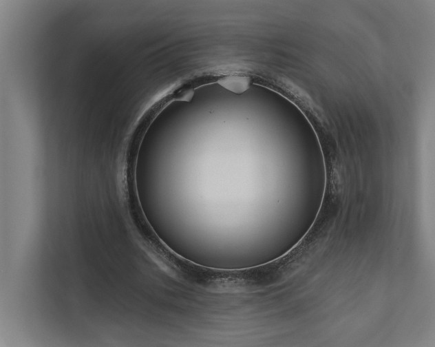 X0000111930535200908101144