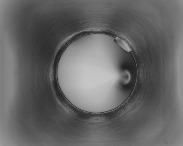 X0000111930536200908101144