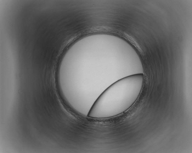 X0000111930538200908101144