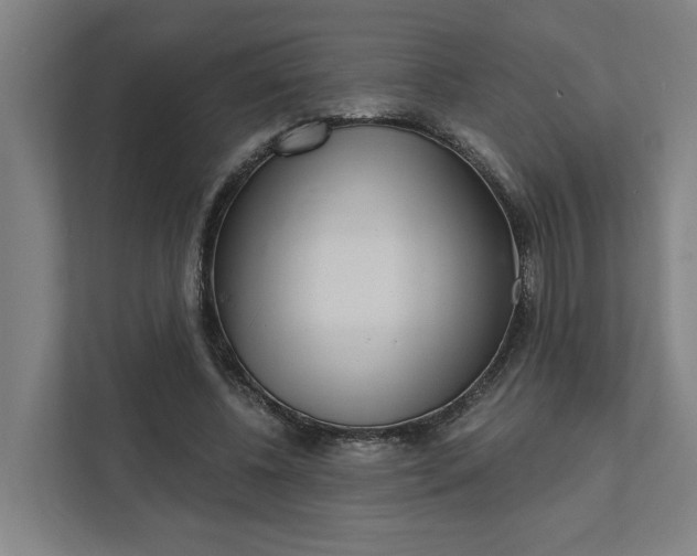 X0000111930540200908101144