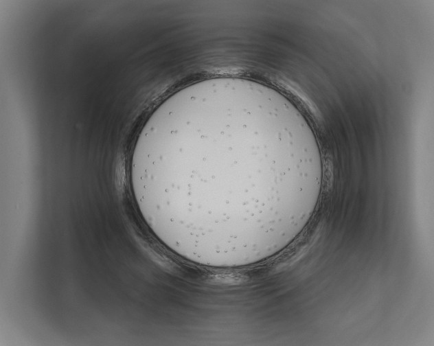 X0000111930541200908101144