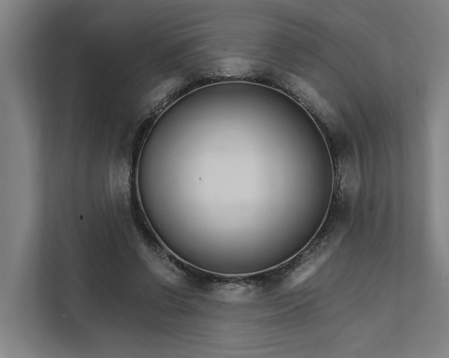 X0000111930542200908101144