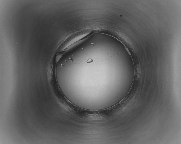 X0000111930544200908101144