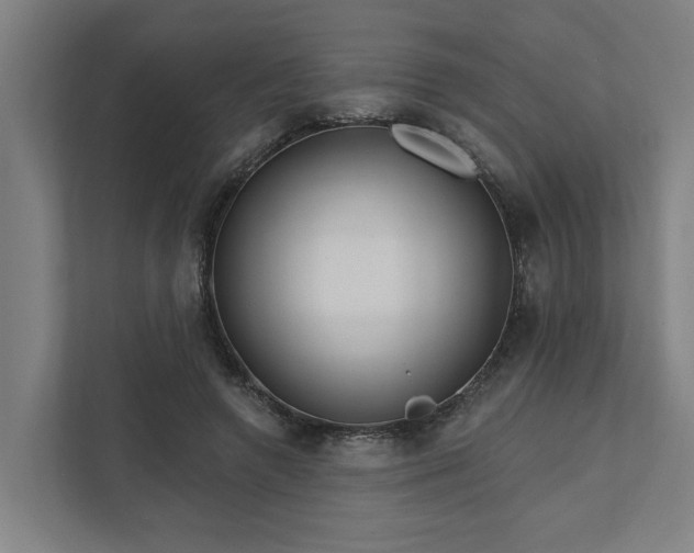 X0000111930546200908101144