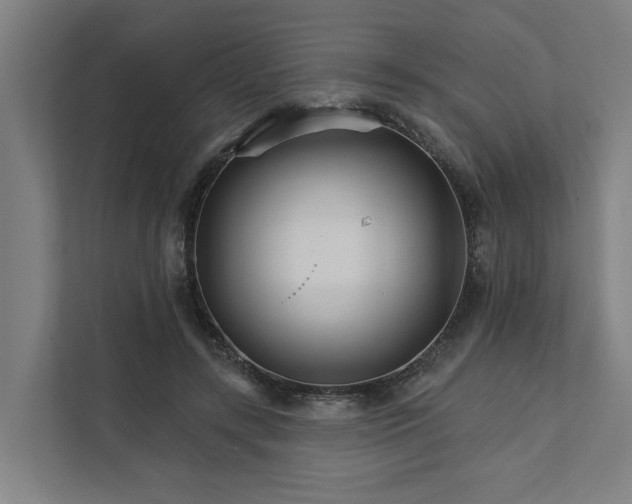 X0000111930547200908101144