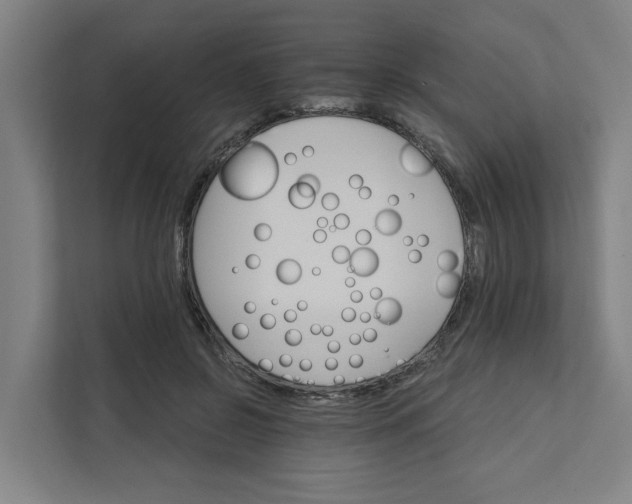 X0000111930550200908101144