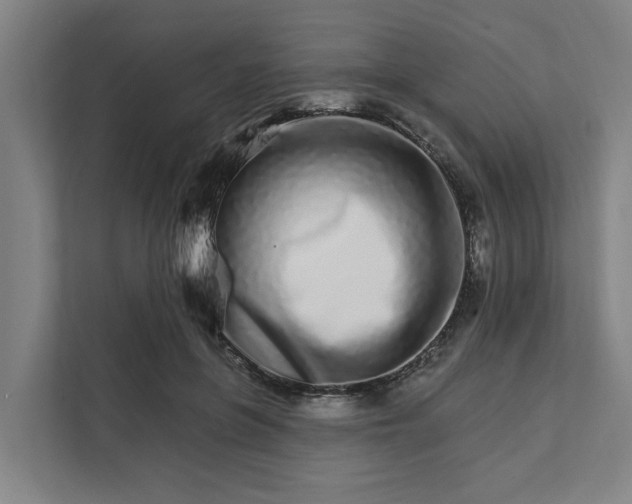 X0000111930551200908101144