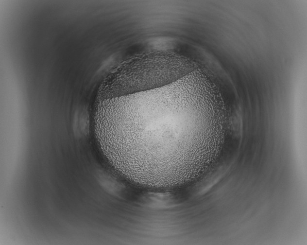 X0000111930552200908101144