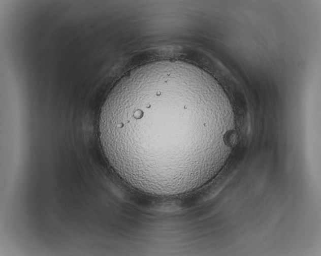 X0000111930553200908101144