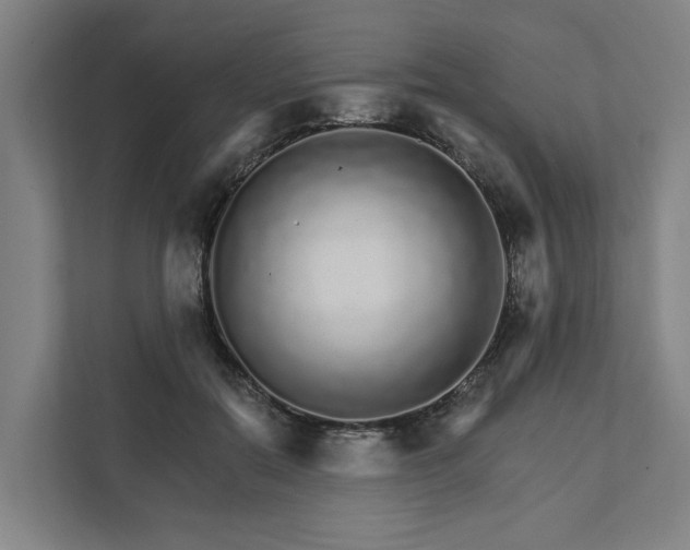 X0000111930554200908101144