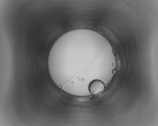 X0000111930555200908101144