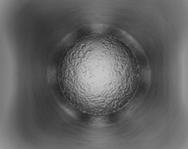 X0000111930557200908101144