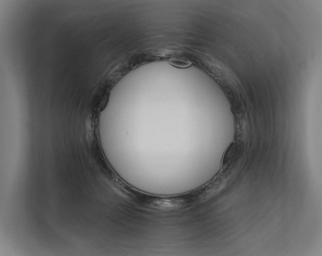 X0000111930558200908101144