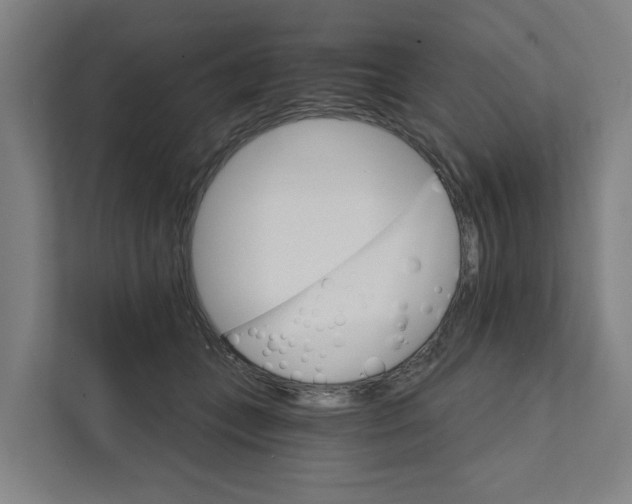 X0000111930559200908101144