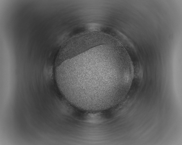 X0000111930560200908101144