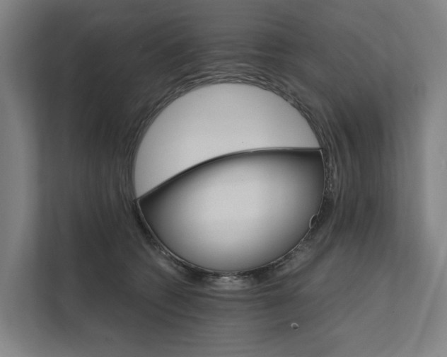 X0000111930562200908101144