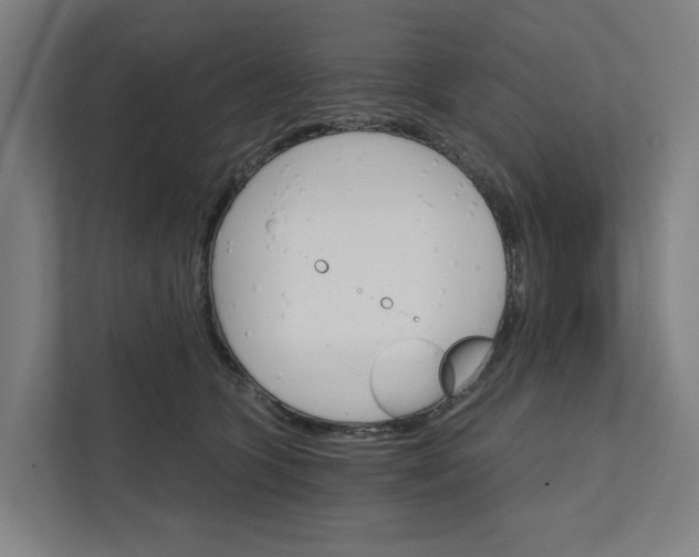 X0000111930563200908101144