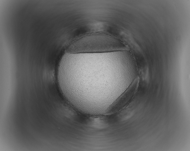 X0000111930564200908101144