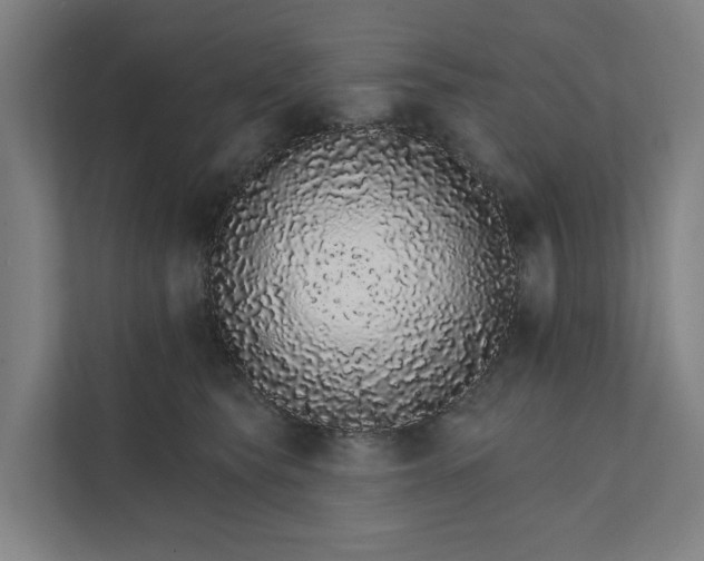 X0000111930565200908101144