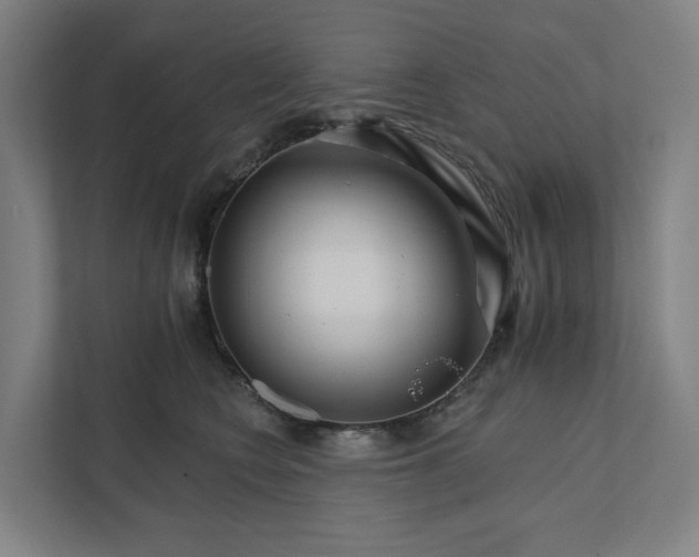 X0000111930566200908101144