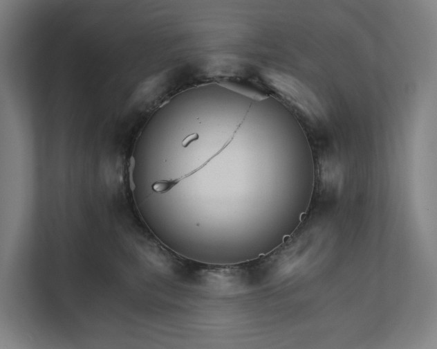 X0000111930567200908101144