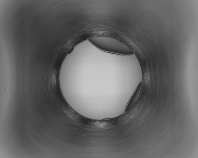 X0000111930570200908101144