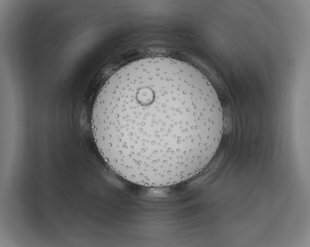 X0000111930573200908101144