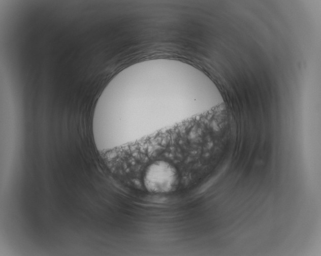 X0000111930575200908101144