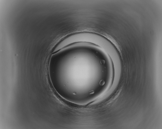 X0000111930577200908101143