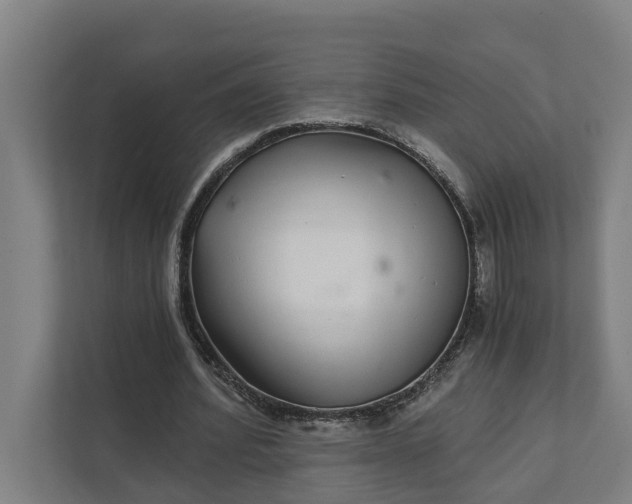 X0000111930580200908101143