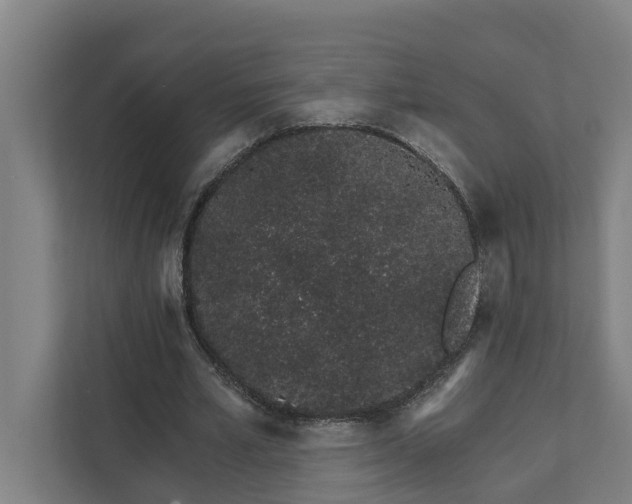 X0000111930581200908101143