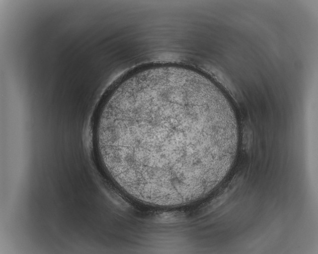 X0000111930584200908101143