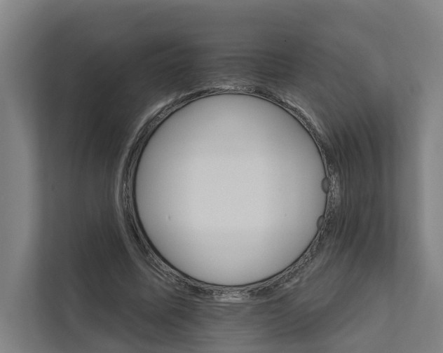 X0000111930587200908101143