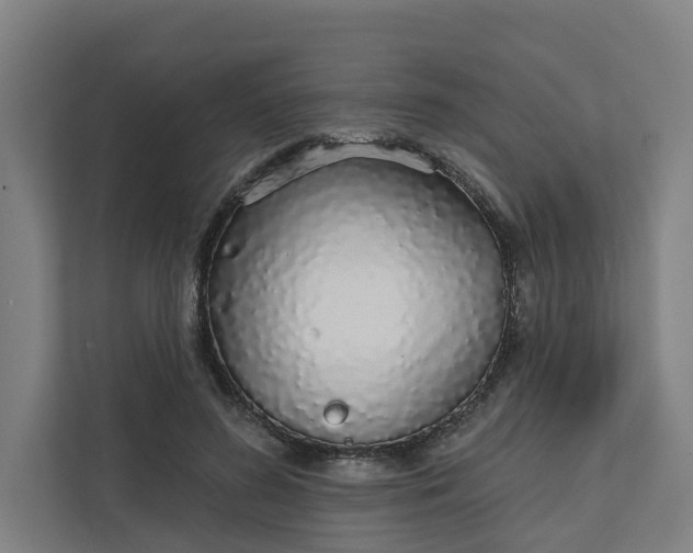 X0000111930596200908101143