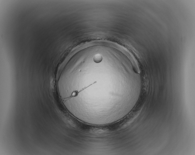 X0000111930597200908101143