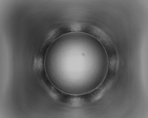 X0000111930598200908101143