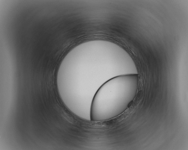 X0000111930601200908101143