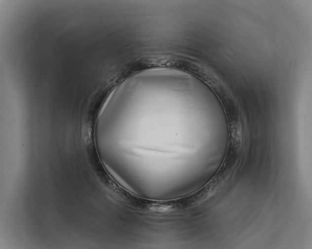 X0000111930602200908101143