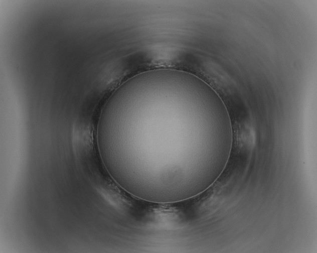 X0000111930603200908101143