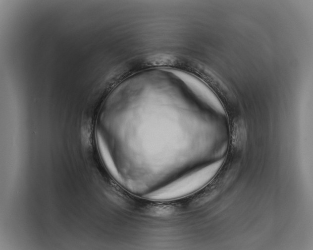 X0000111930604200908101143