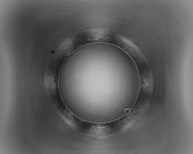 X0000111930607200908101143