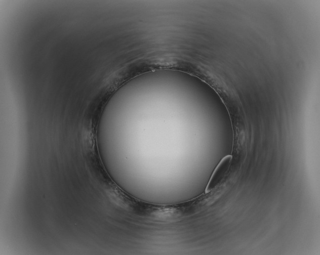 X0000111930609200908101143