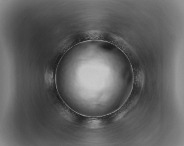 X0000111930610200908101143