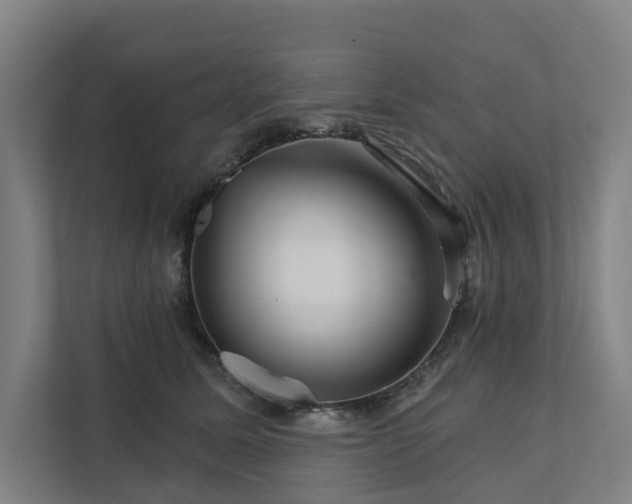 X0000111930611200908101143