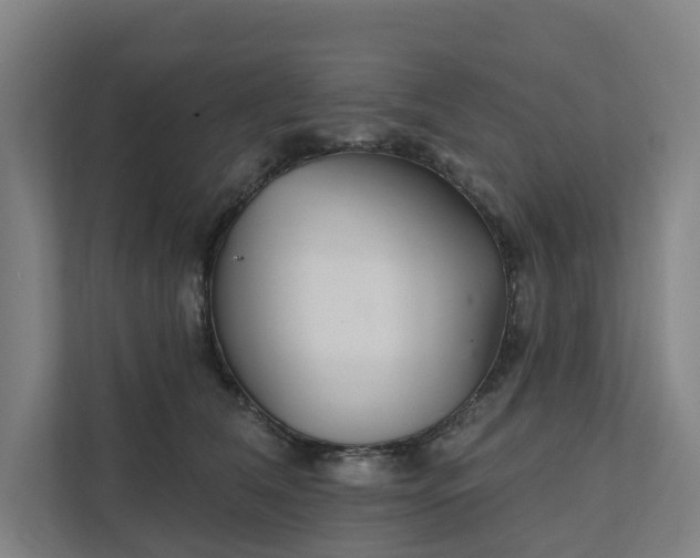 X0000111930612200908101143