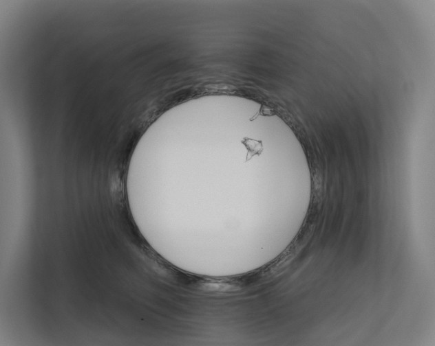 X0000111930614200908101143