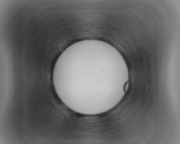 X0000111930615200908101143