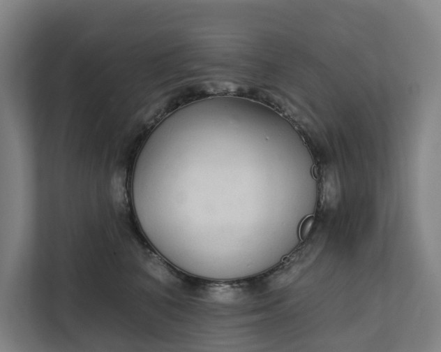 X0000111930616200908101143