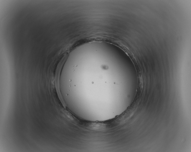 X0000111930617200908101143